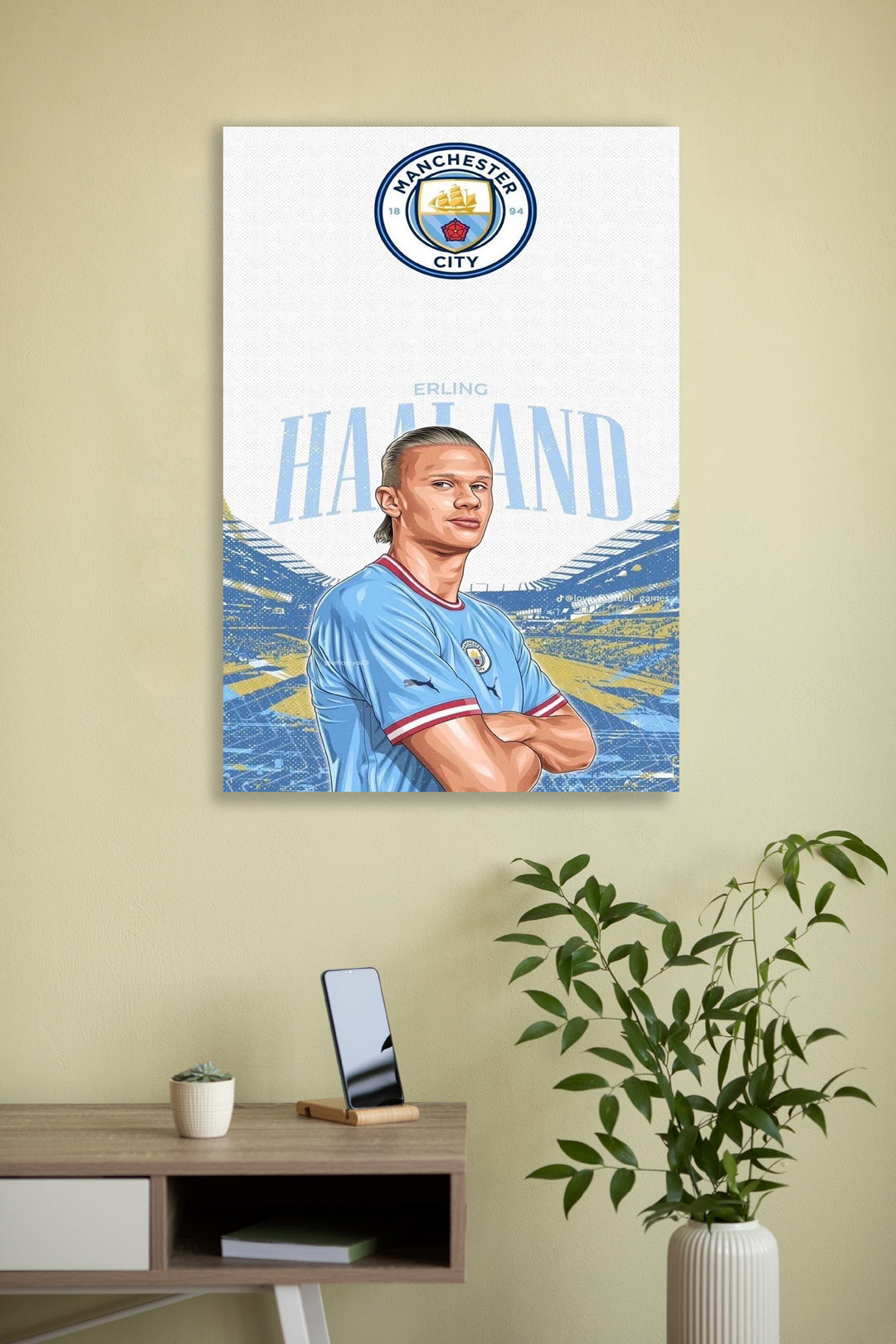 Haaland3- Wall Posters