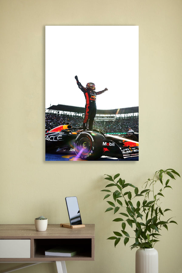 Max-Verstappen7- Wall Posters