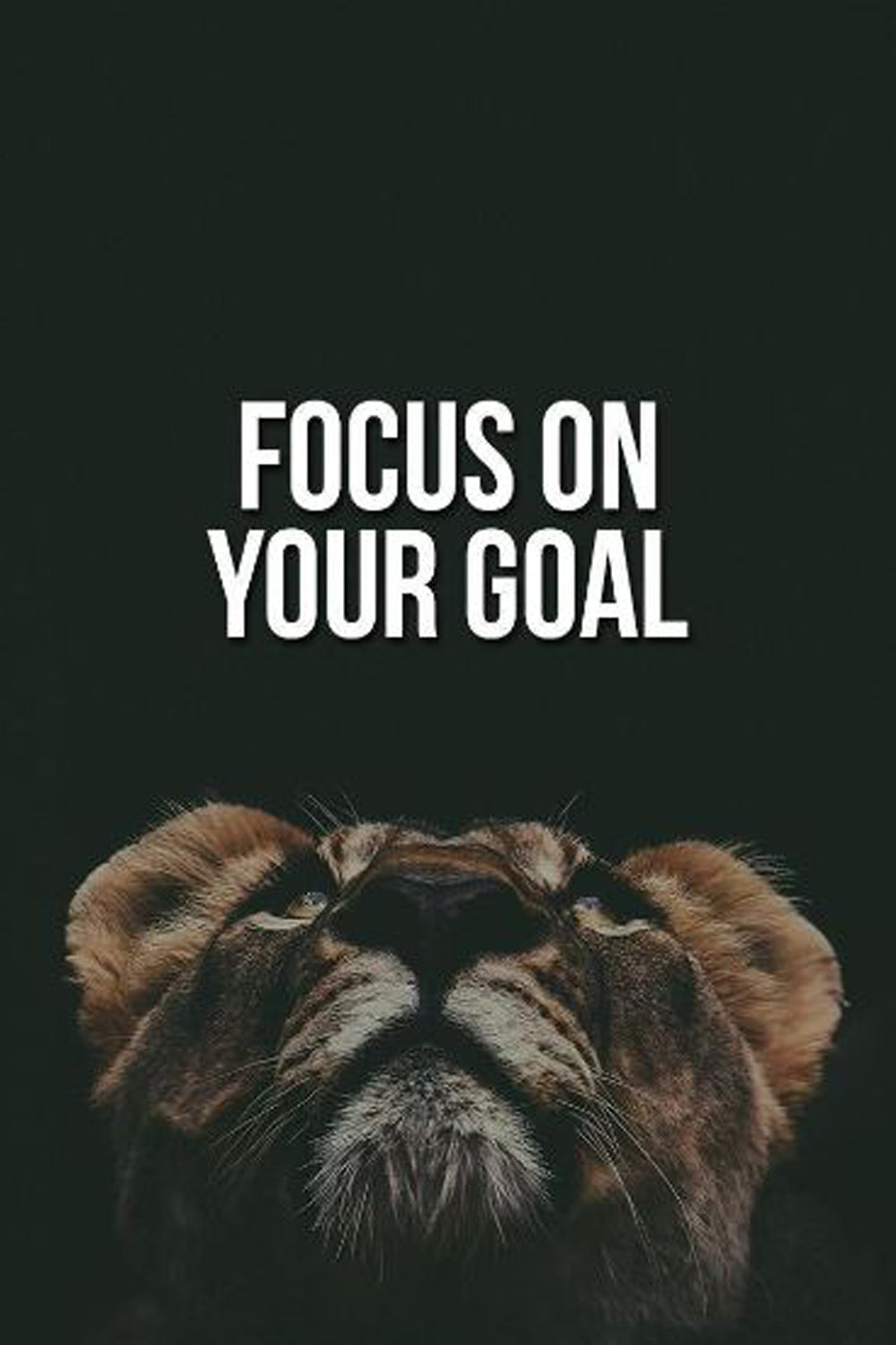 Motivational 6 - Wall Posters