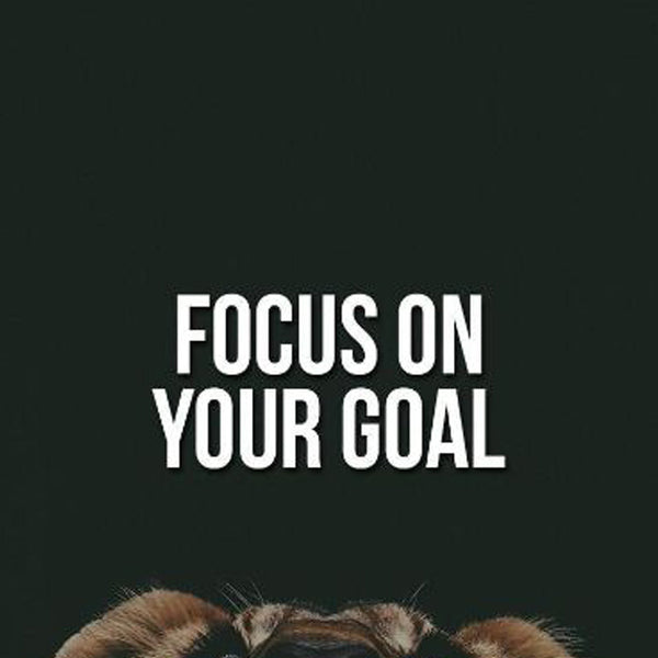 Motivational 6 - Wall Posters